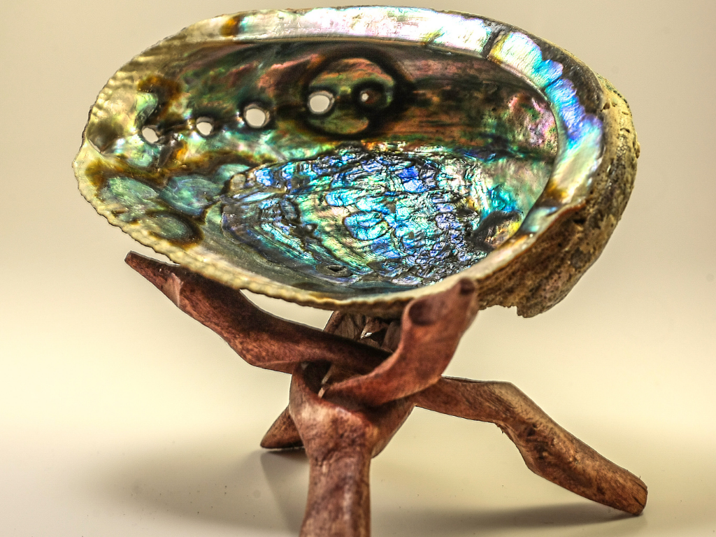 Abalone
