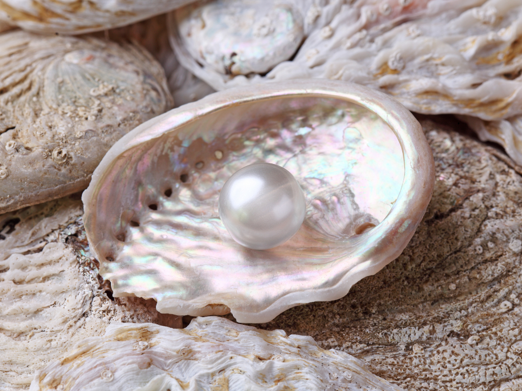 Mother-of-Pearl in Gift-Giving: A Symbol of Timeless Beauty and Emotion