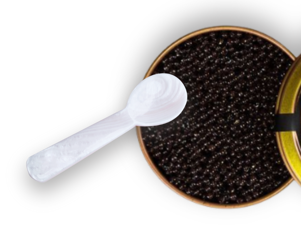 MOP spoon